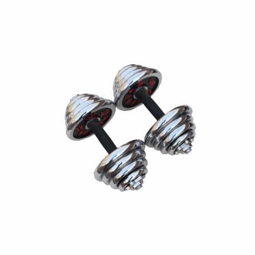 STEELCORE DUMBBELL