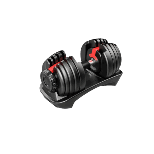 SMARTLIFT 55LB DUMBBELL